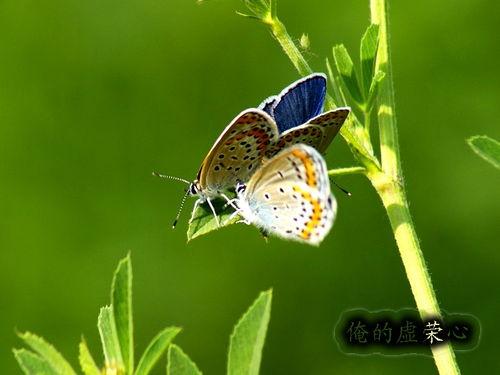 炽情夏日,炎炎夏日里的激情与活力