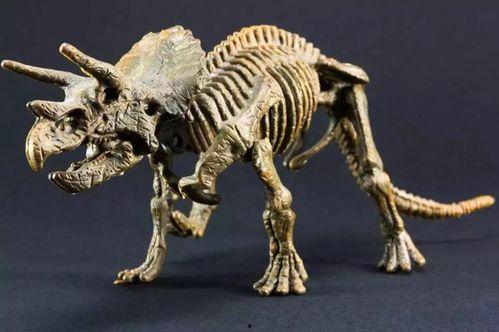恐龙骨骼